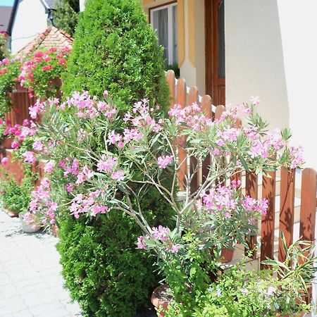 Judit Vendeghaz Heviz Exterior photo