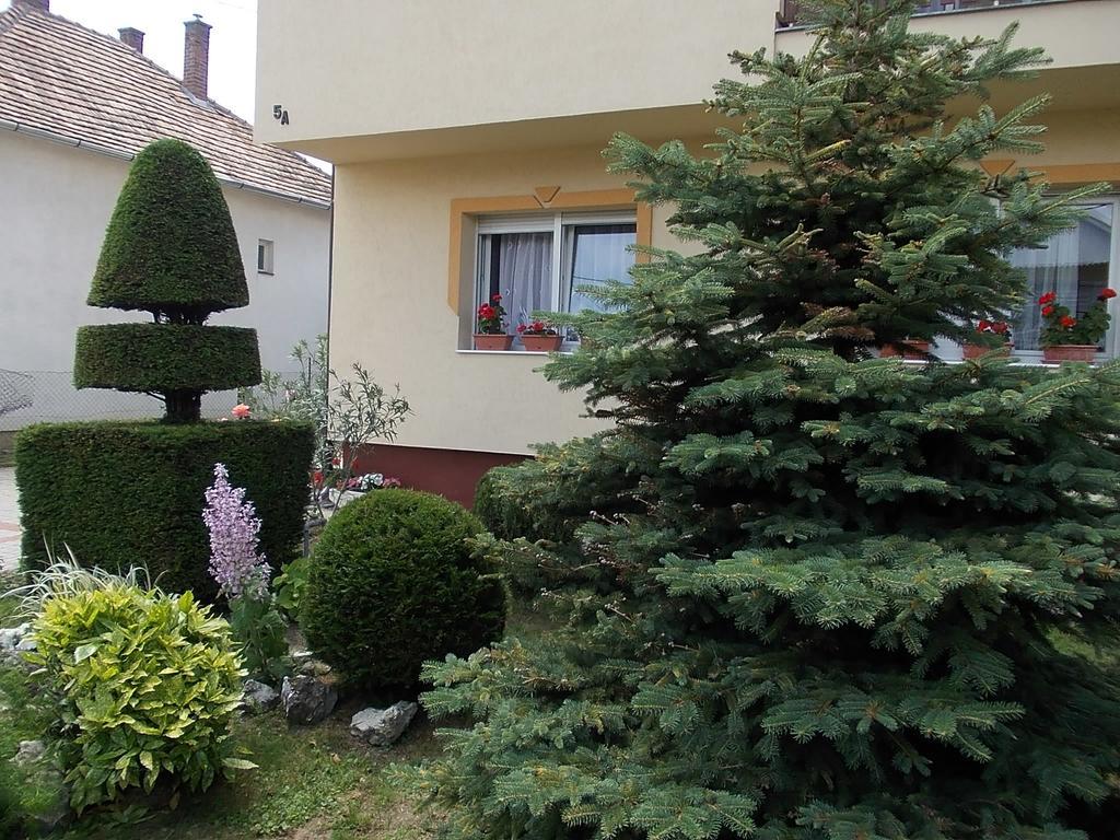 Judit Vendeghaz Heviz Exterior photo