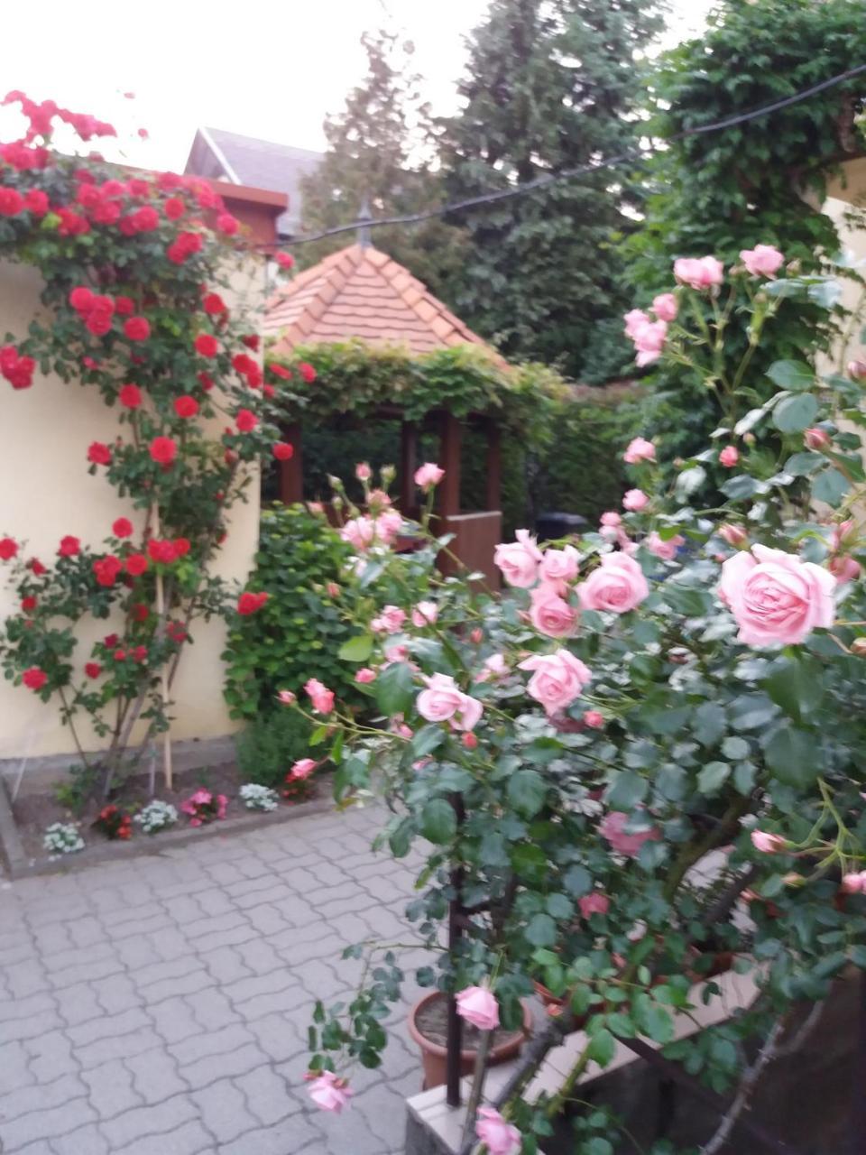 Judit Vendeghaz Heviz Exterior photo