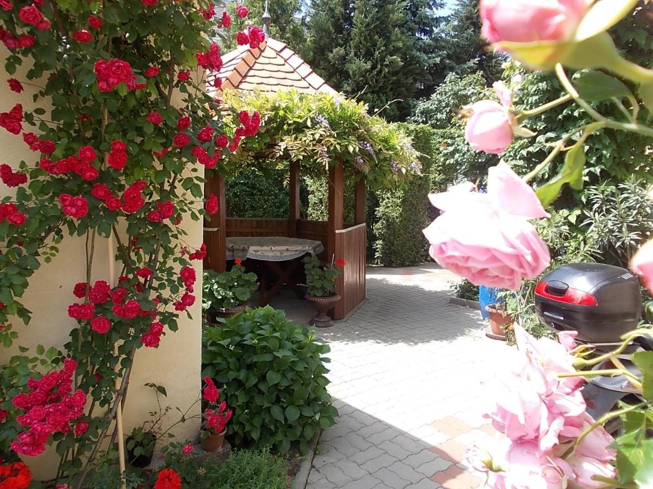 Judit Vendeghaz Heviz Exterior photo